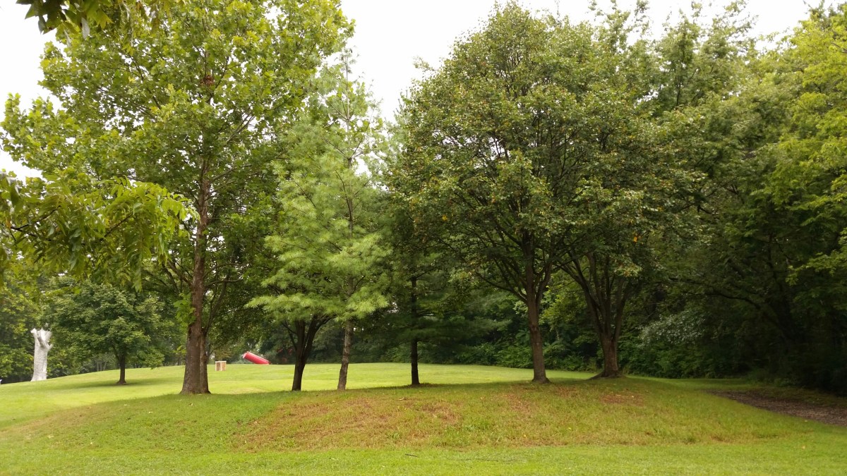 20150822_094349.jpg image